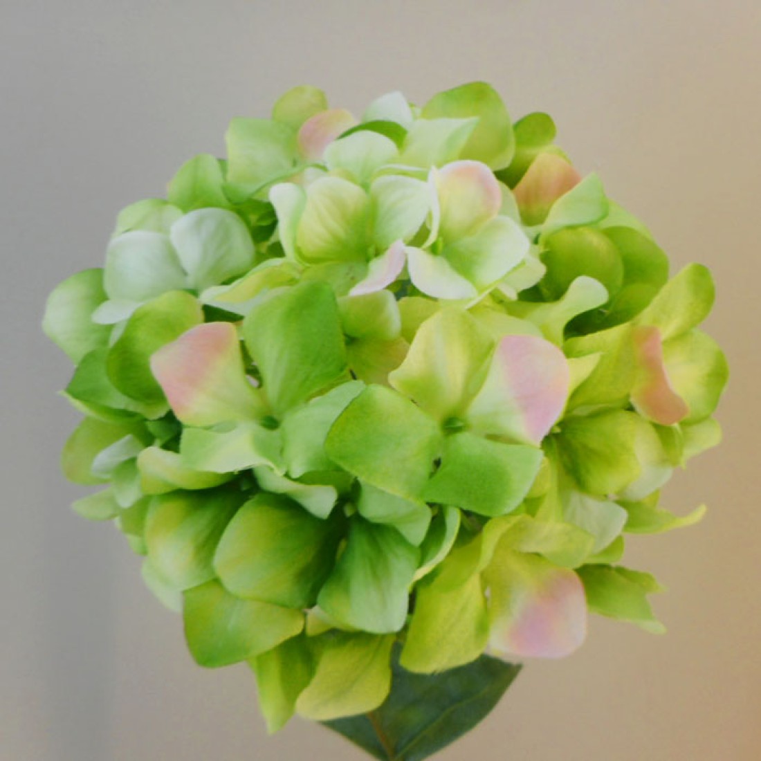 Artificial Hydrangeas Lime Green 67cm Artificial Flowers
